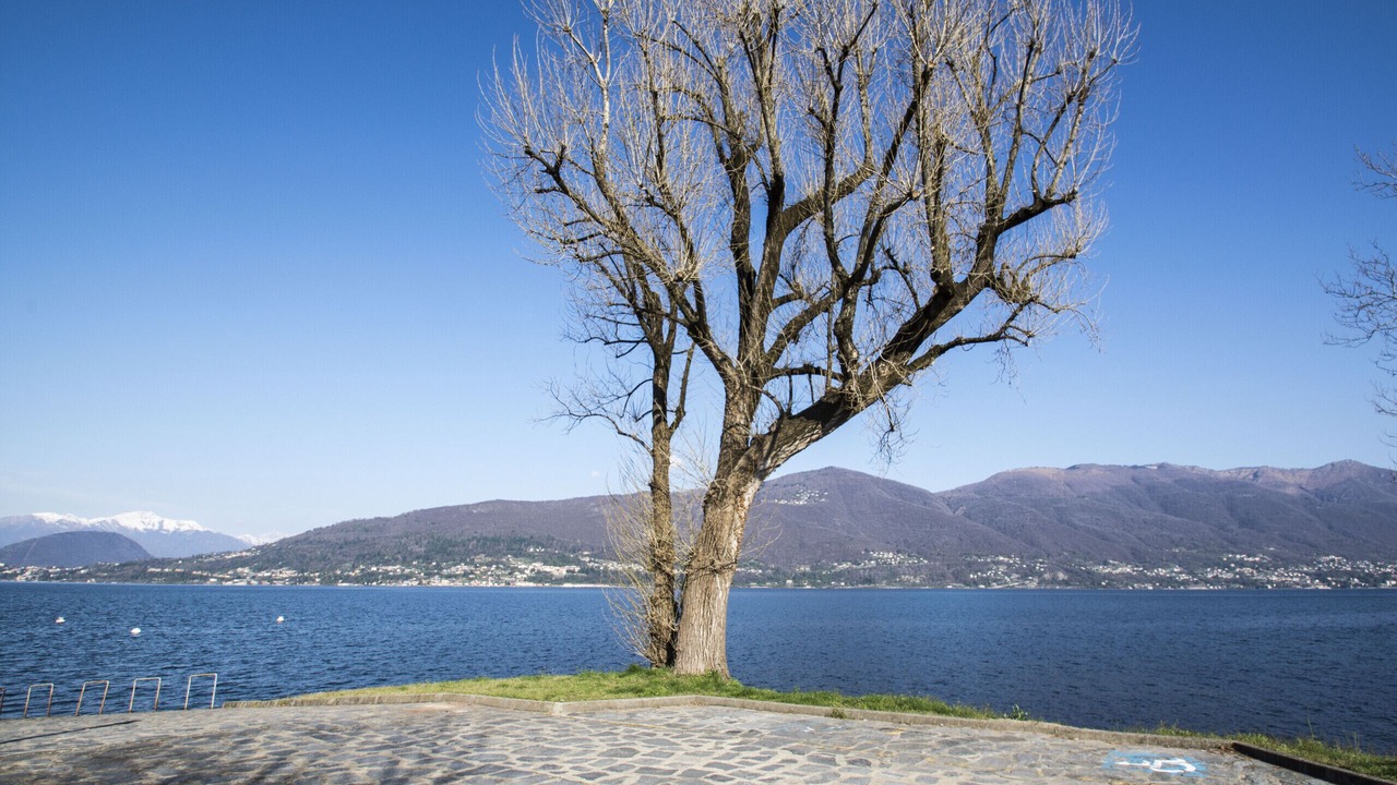 Photo of Others in Castello