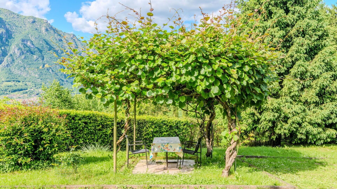 Photo of Outdoor in Claino Con Osteno