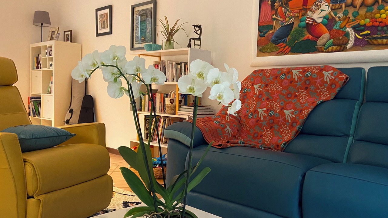 Photo of Livingroom in Dizzasco