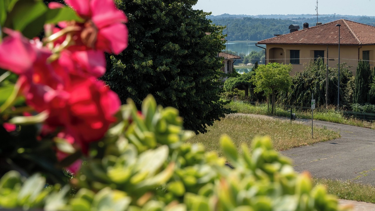 Photo of Outdoor in Erba