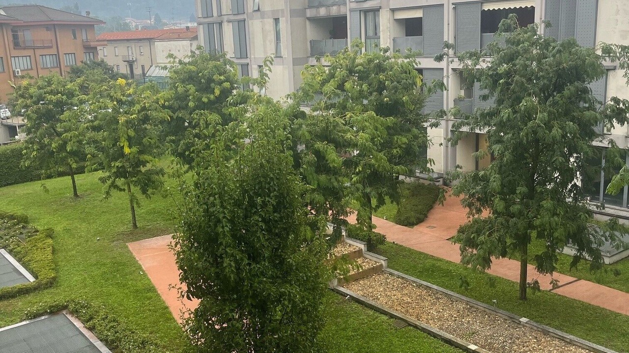 Photo of Outdoor in Albate