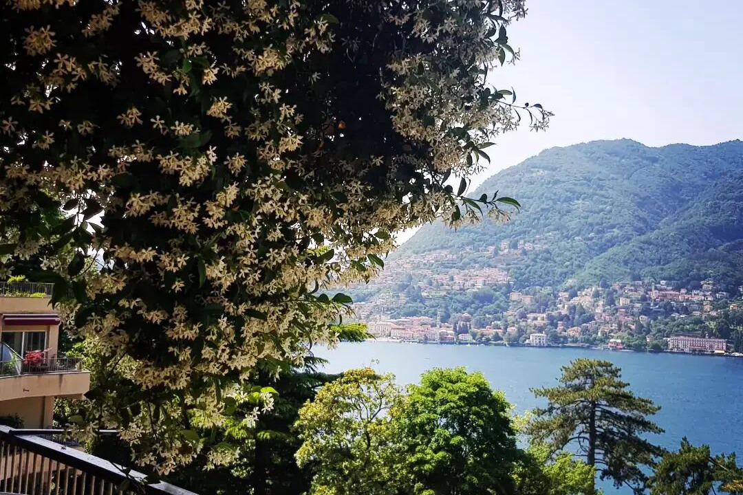 Photo of Outdoor in Blevio