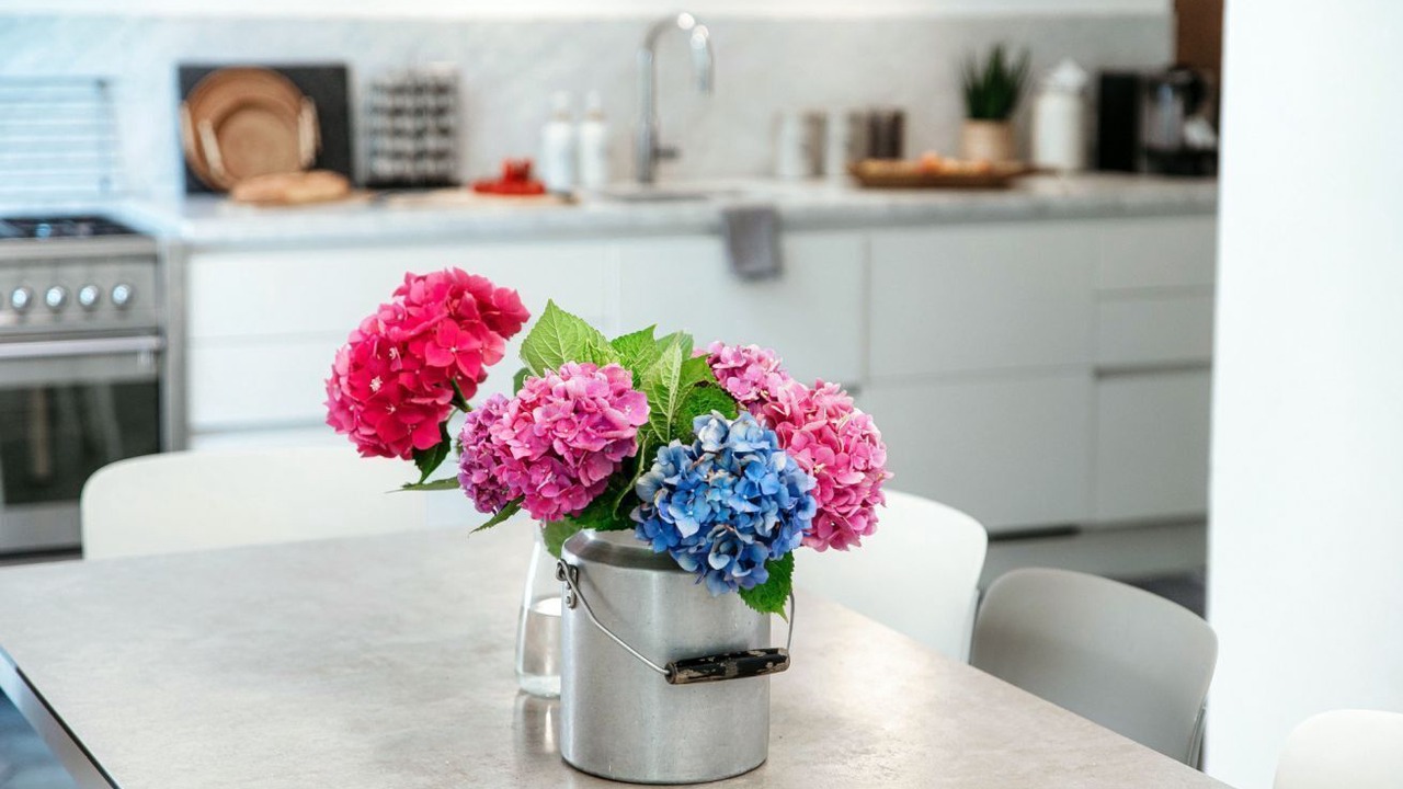 Photo of Kitchen in Casasco d'Intelvi