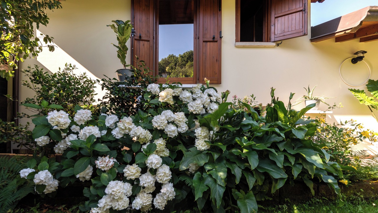 Photo of Outdoor in Gavardo