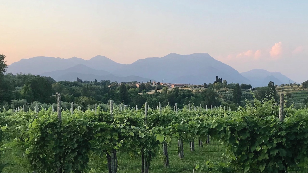 Photo of Others in Polpenazze del Garda