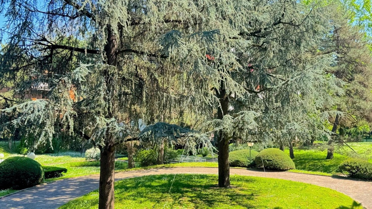 Photo of Outdoor in Lampugnano
