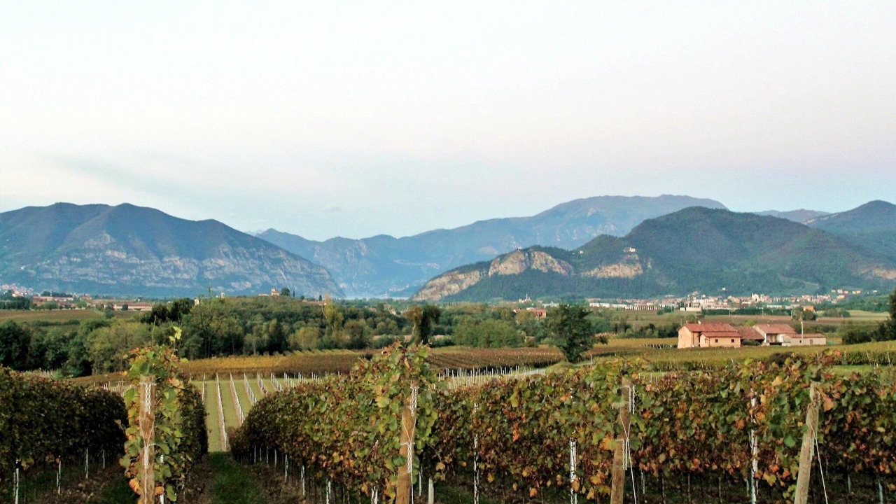 Photo of Others in Torbiato di Adro