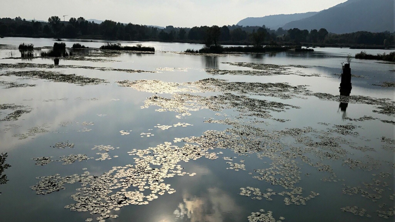 Photo of Others in Monterotondo