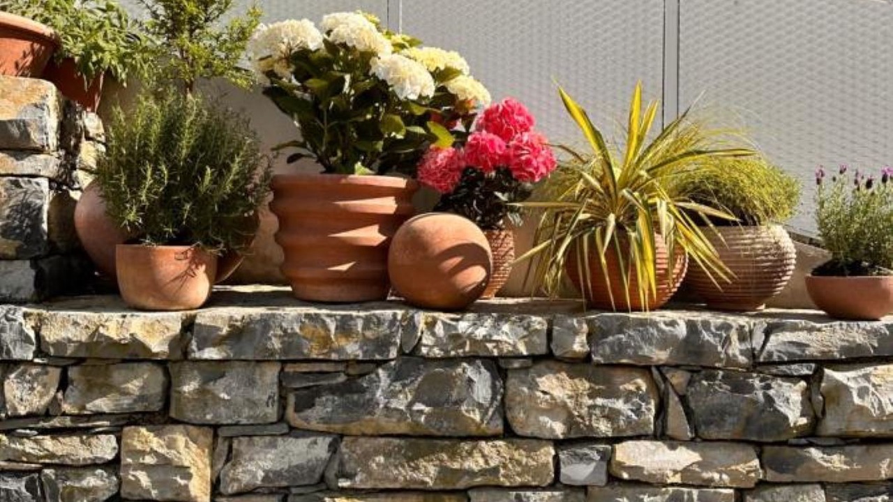 Photo of Outdoor in Riva