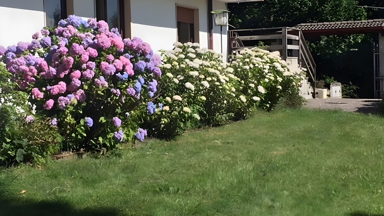 Photo of Outdoor in Lanzo d'Intelvi