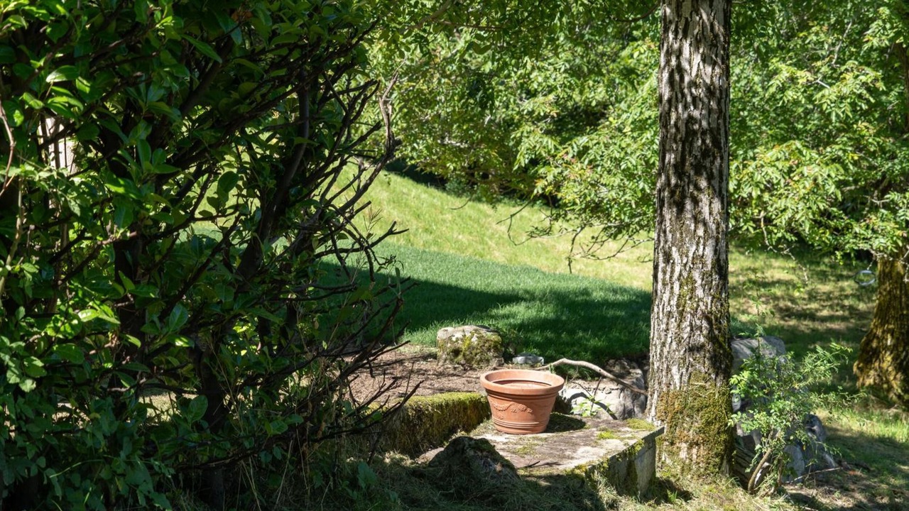 Photo of Outdoor in Schignano