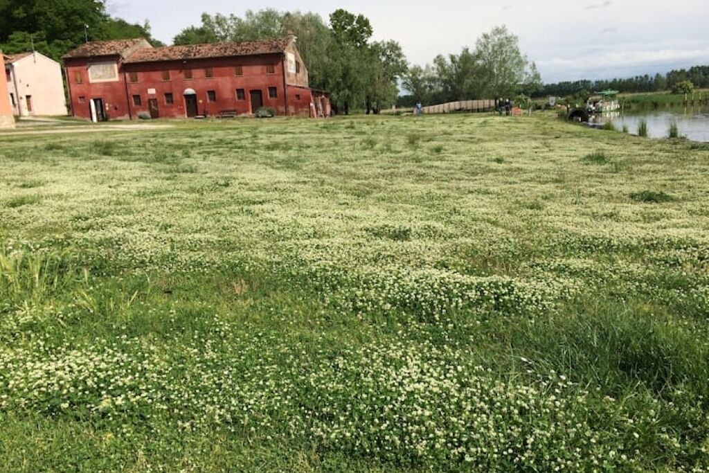 Photo of Outdoor in Rivalta sul Mincio