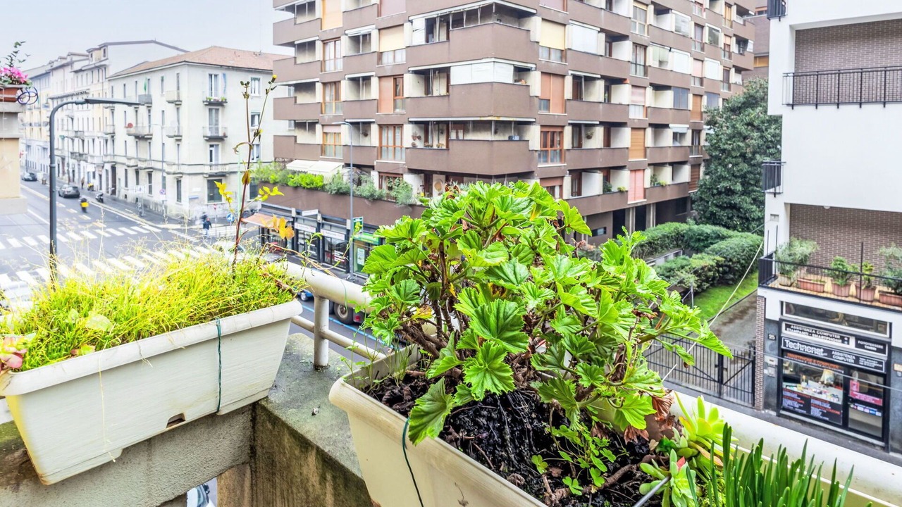 Photo of Patio Balcony in Stadera