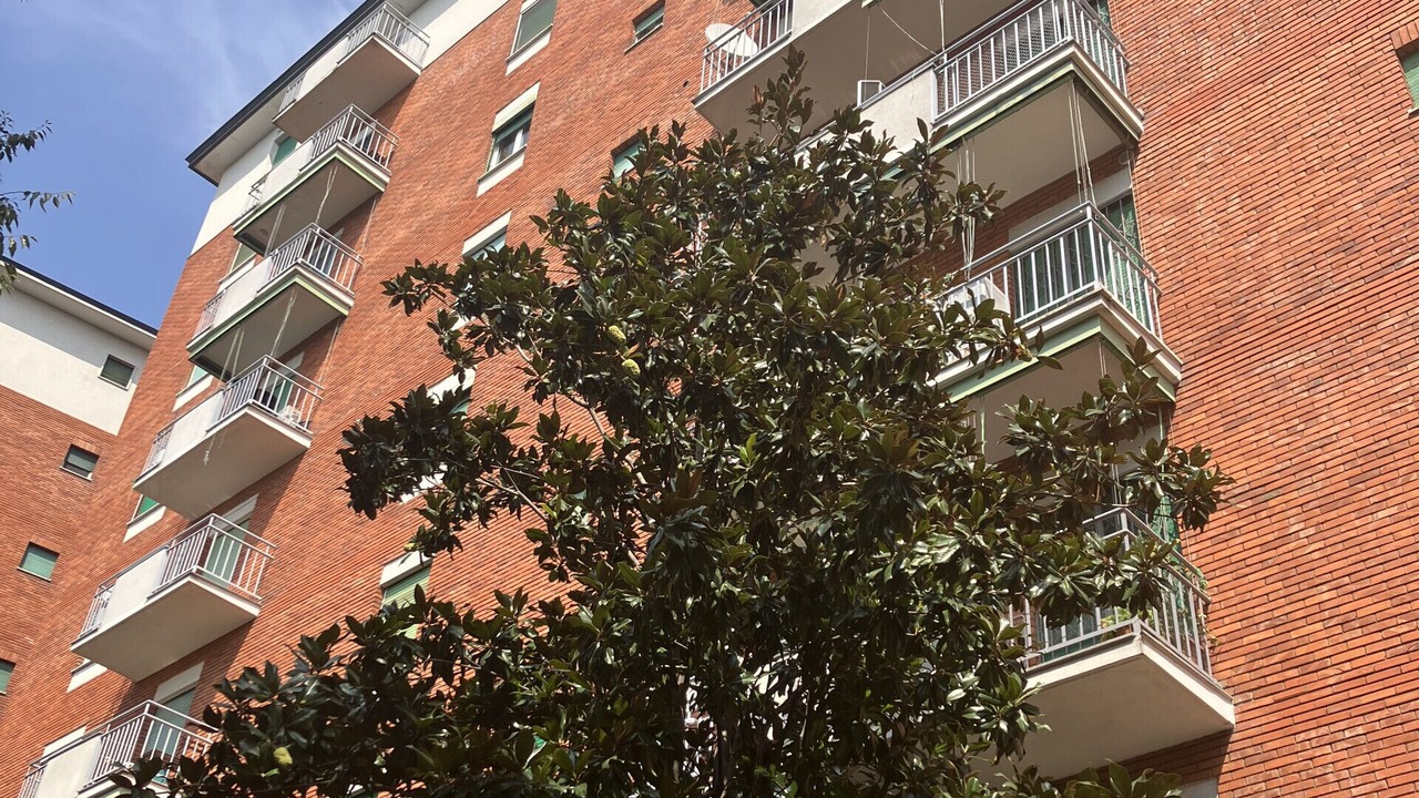 Photo of Outdoor in Lorenteggio