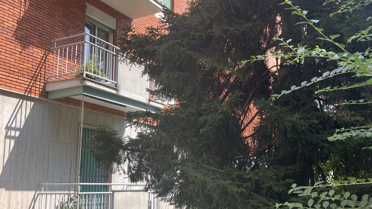 Photo of Others in Lorenteggio