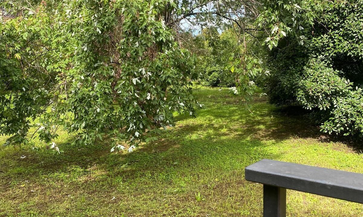 Photo of Outdoor in Corbetta