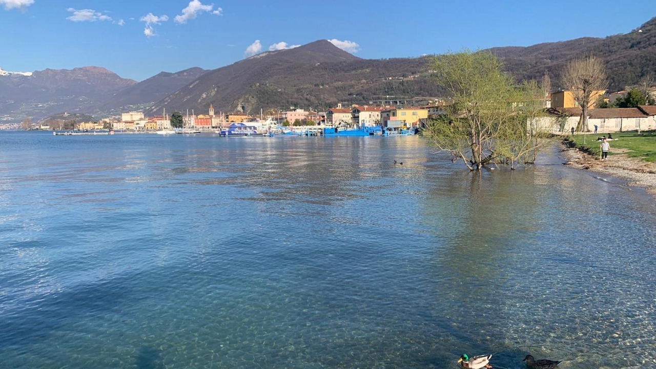 Photo of Others in Iseo