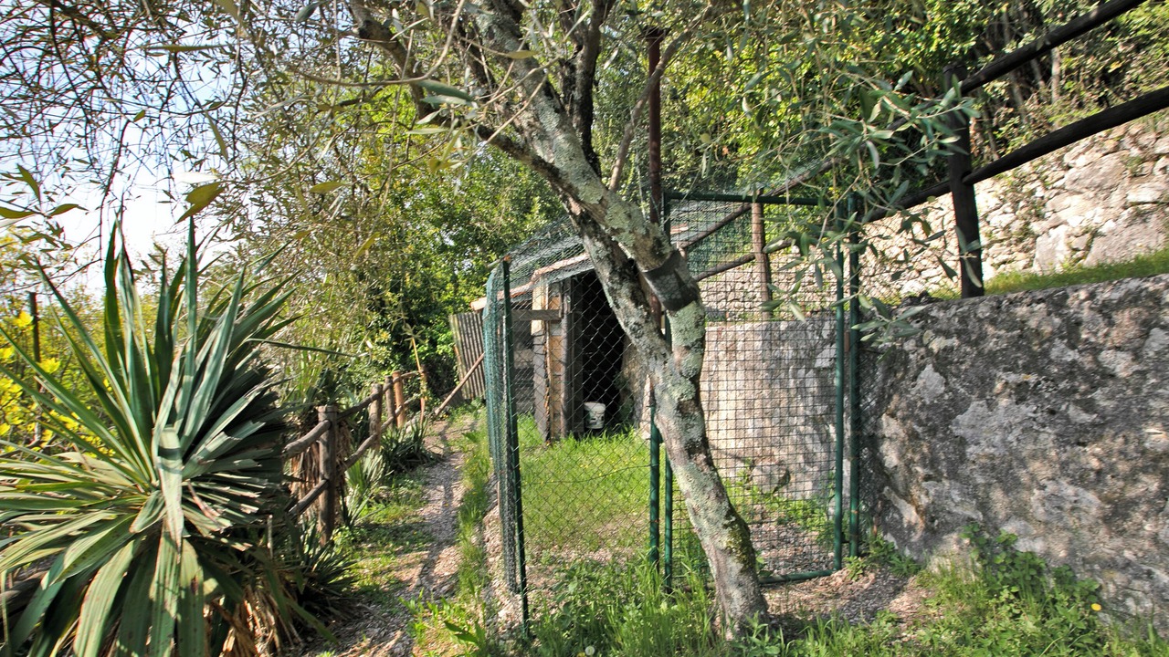 Photo of Outdoor in Gargnano