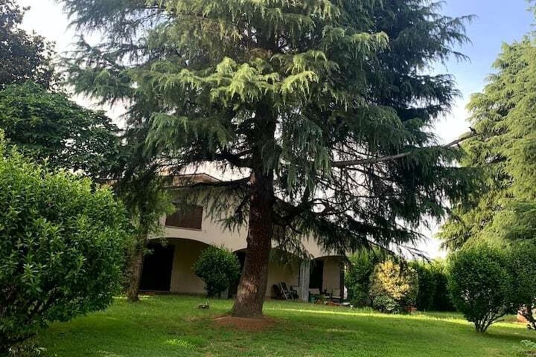 Photo of Outdoor in Dorno