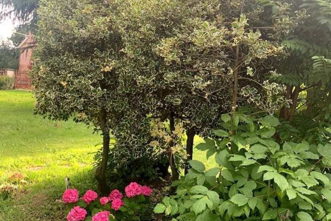 Photo of Outdoor in Dorno