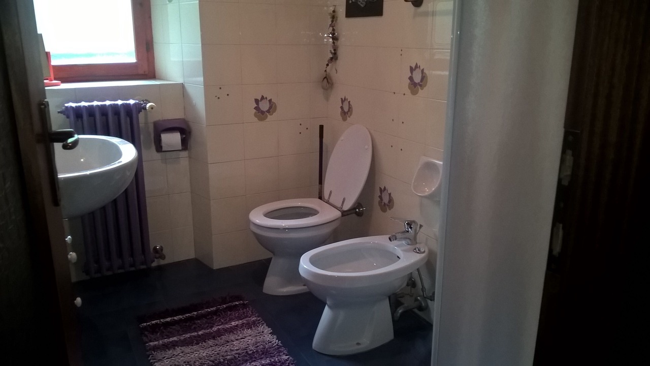 Photo of Bathroom in Limonta
