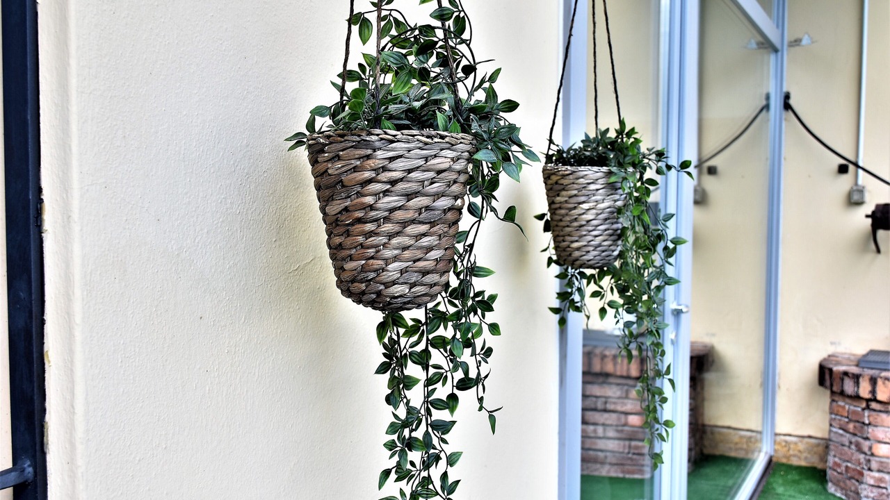 Photo of Outdoor in Solto Collina