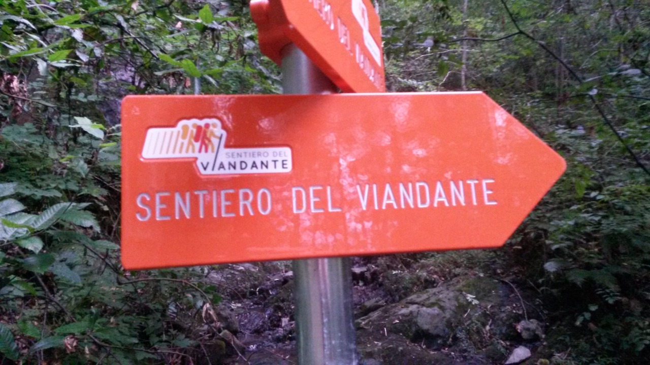 Photo of Others in Piantedo