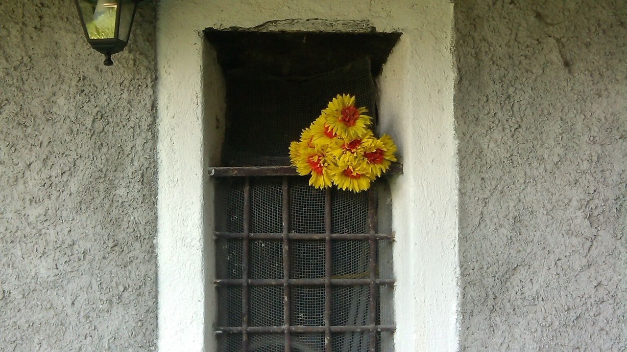 Photo of Outdoor in Piantedo