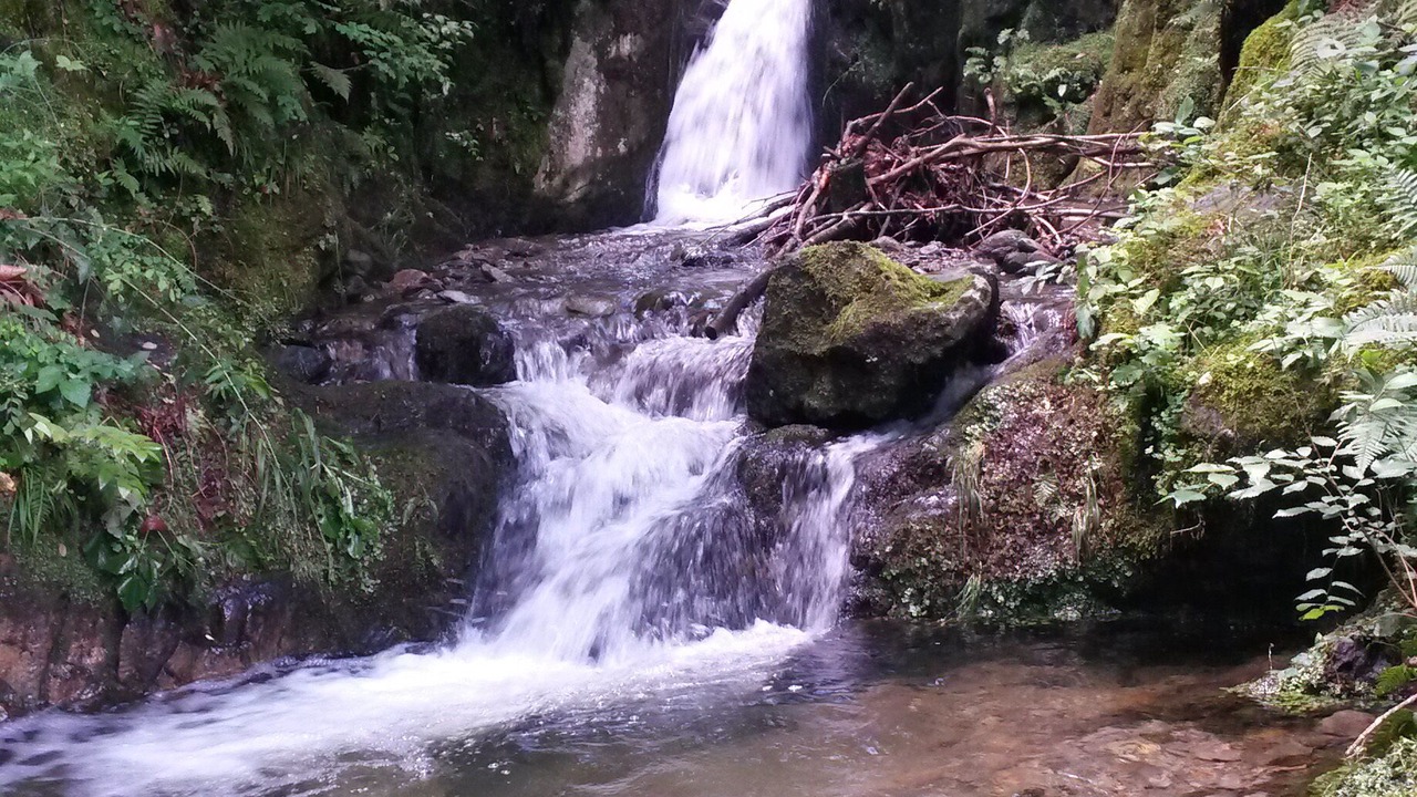 Photo of Outdoor in Piantedo