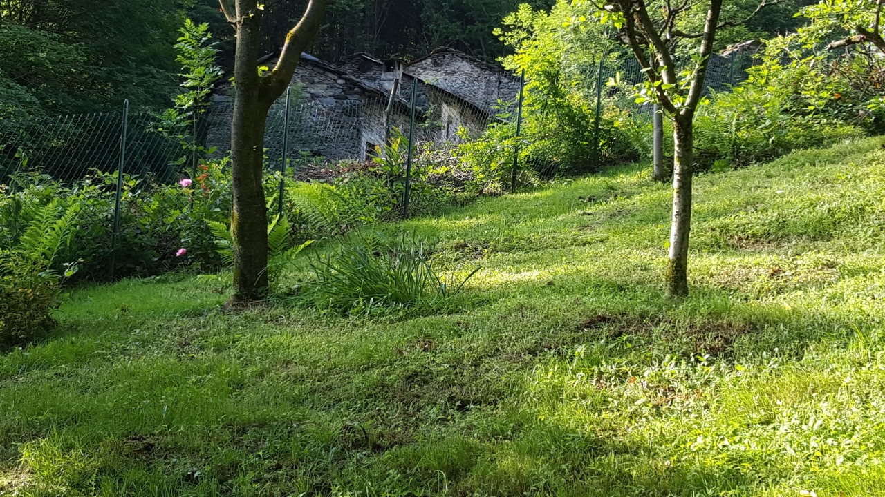 Photo of Outdoor in Piantedo