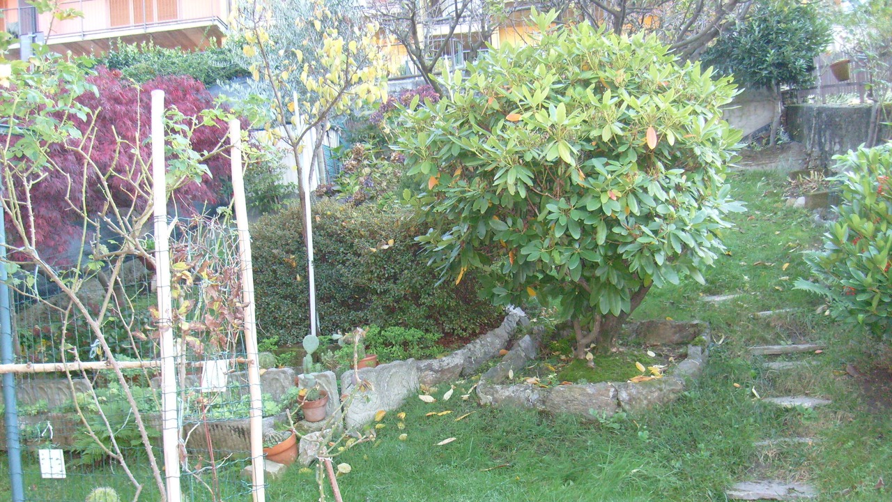 Photo of Outdoor in Bonzeno