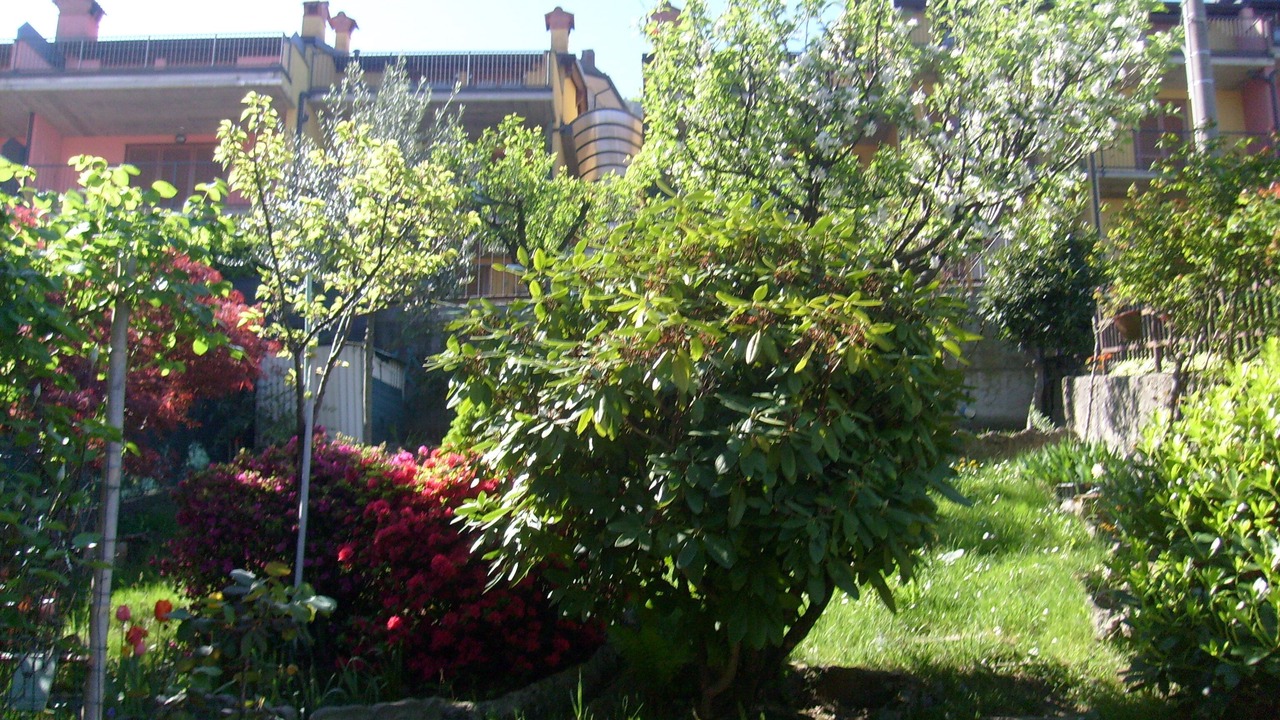 Photo of Outdoor in Bonzeno