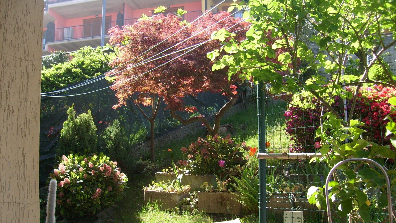 Photo of Outdoor in Bonzeno