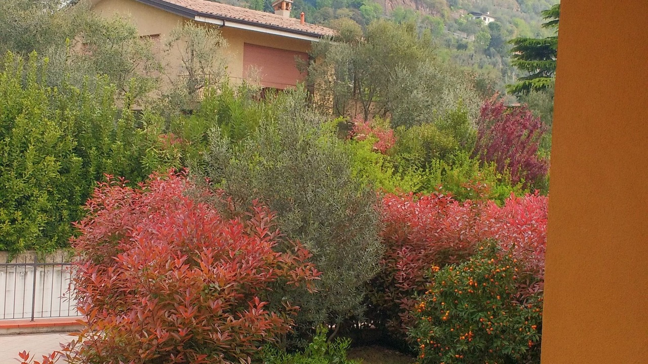 Photo of Outdoor in Pulciano