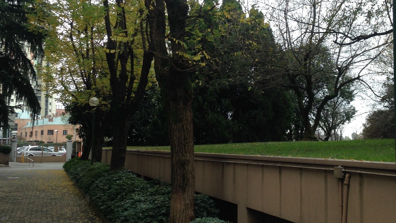 Photo of Others in Corsico