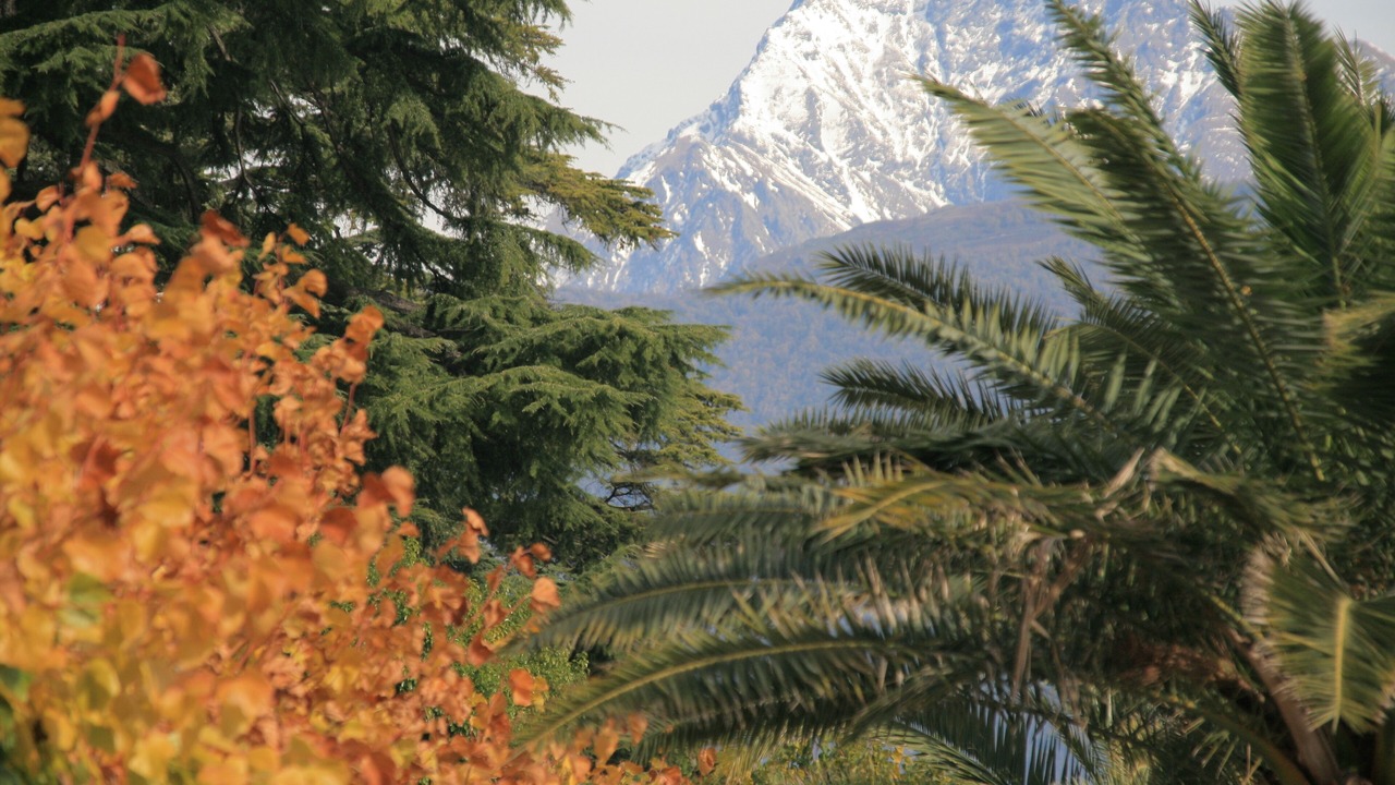 Photo of Outdoor in Dumenza