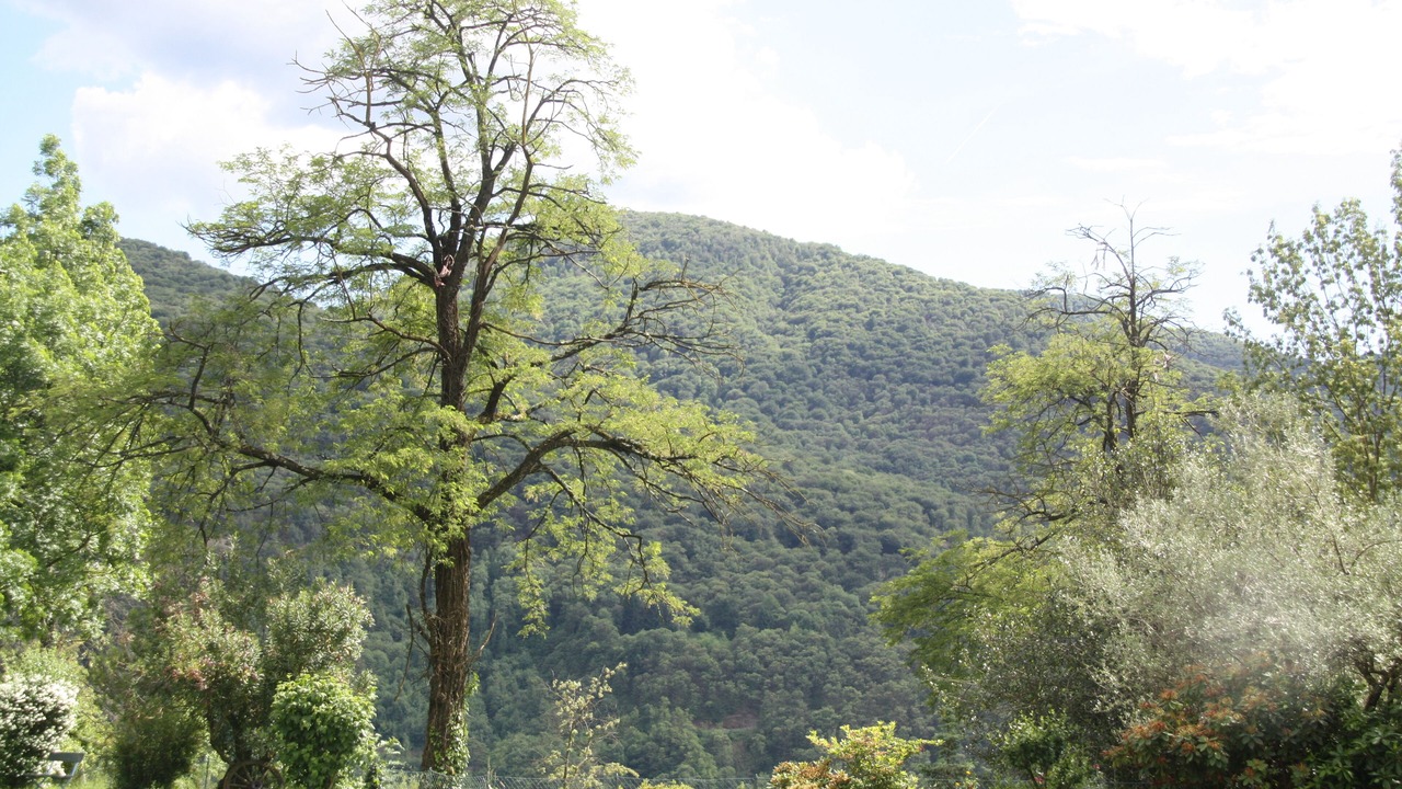 Photo of Outdoor in Dumenza