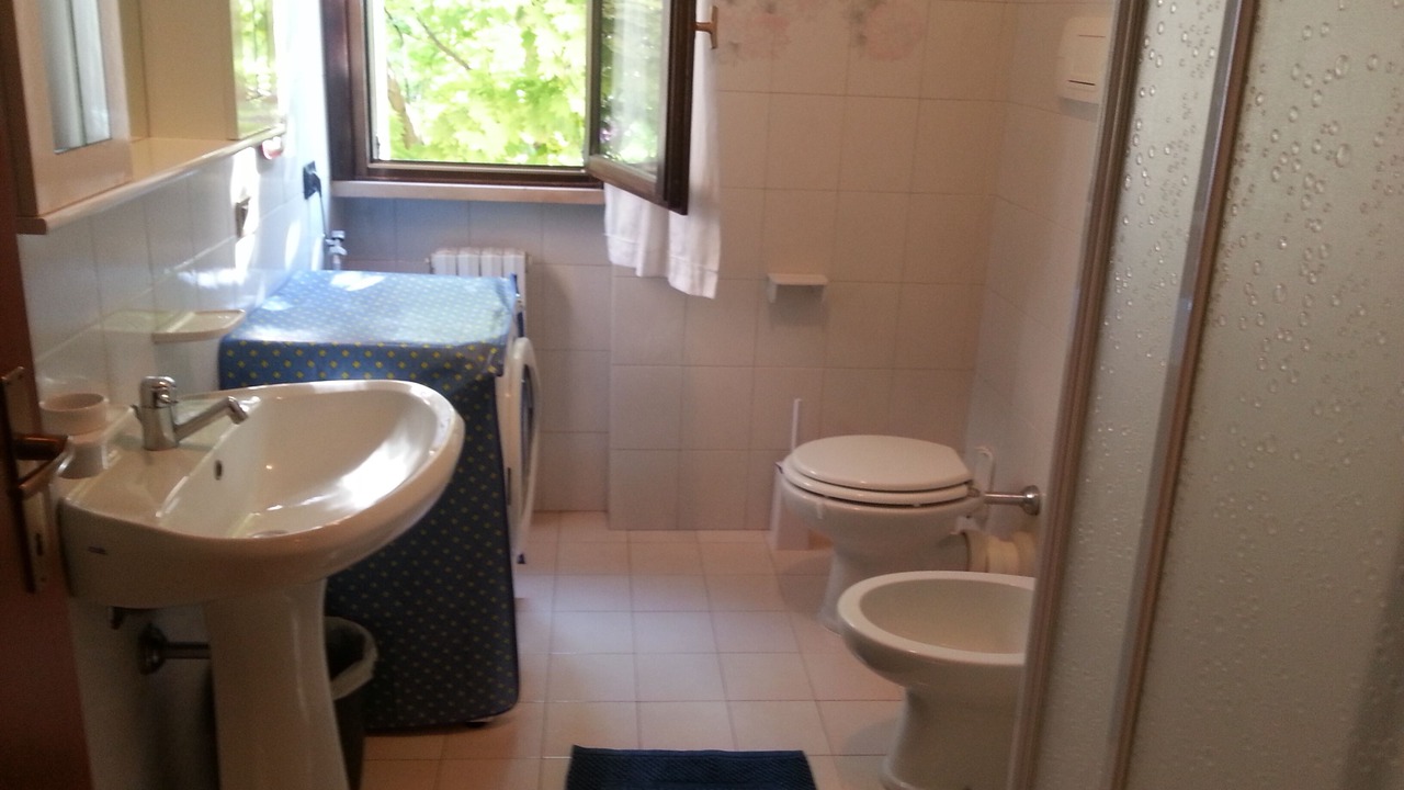 Photo of Bathroom in Lugana