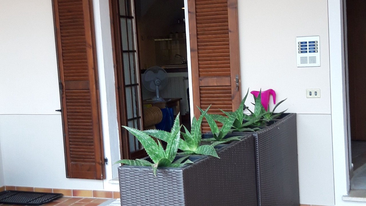 Photo of Outdoor in Portese