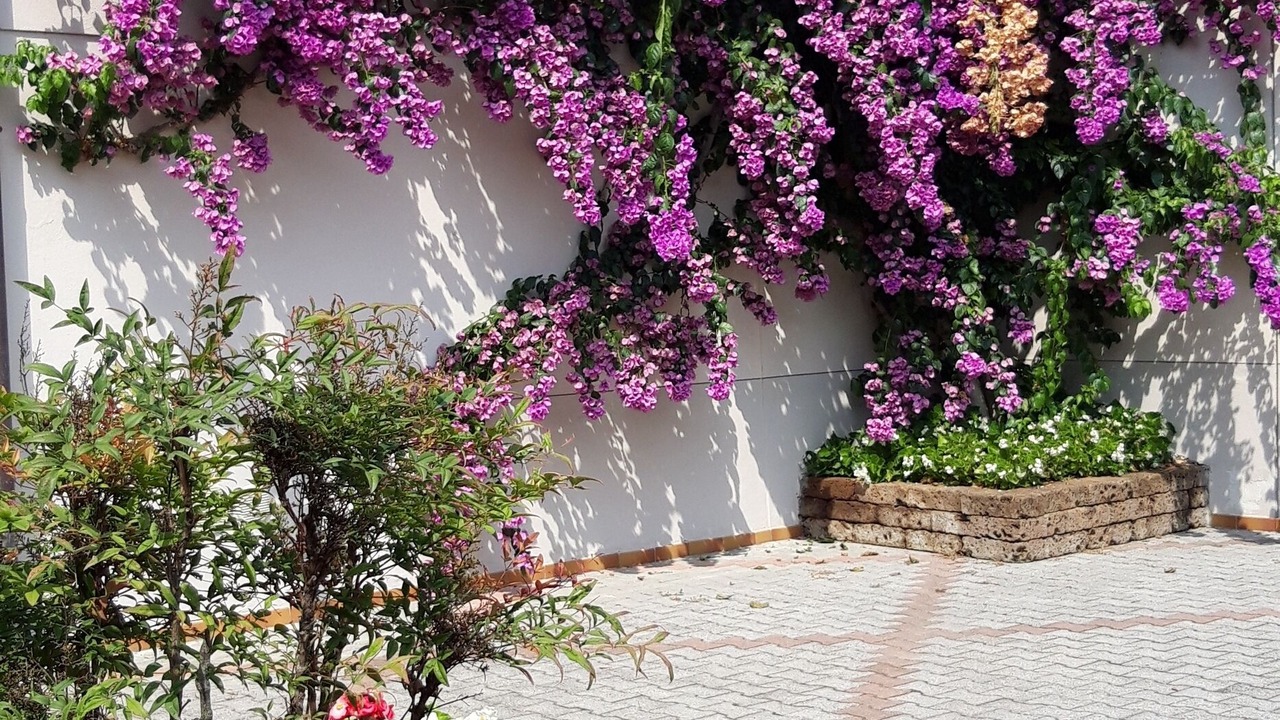 Photo of Outdoor in Portese