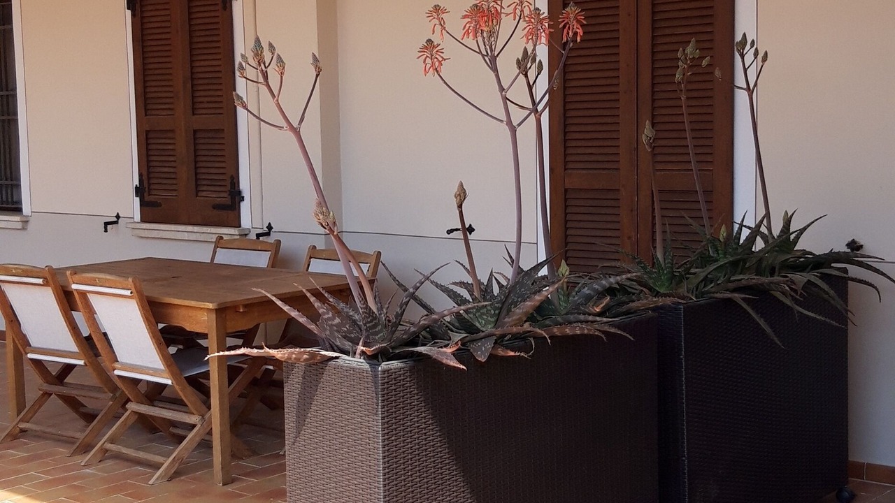 Photo of Outdoor in Portese