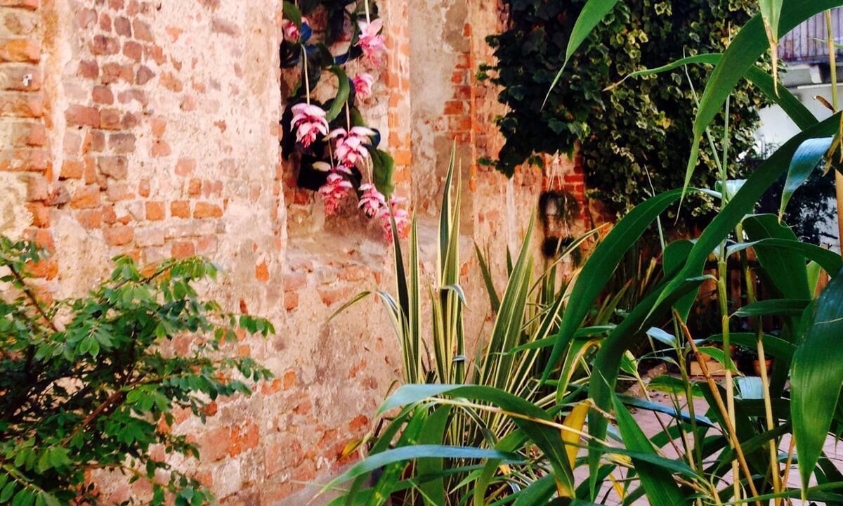Photo of Outdoor in Pavia