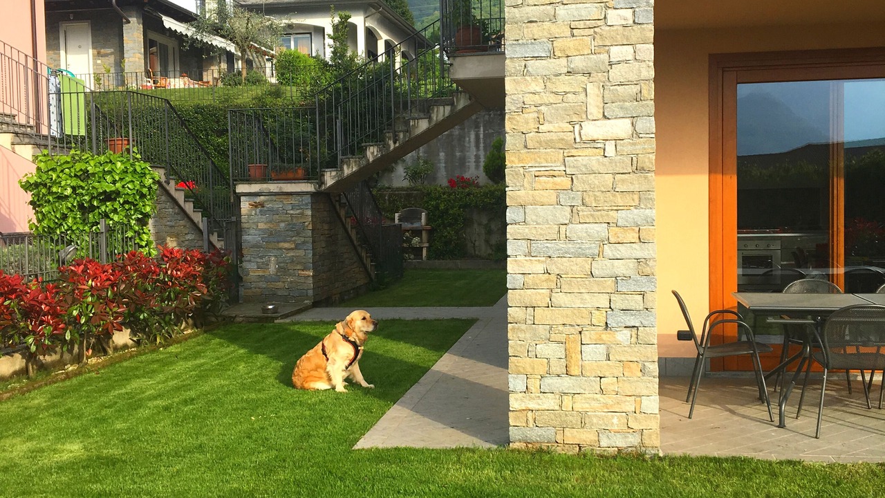 Photo of Outdoor in Colico