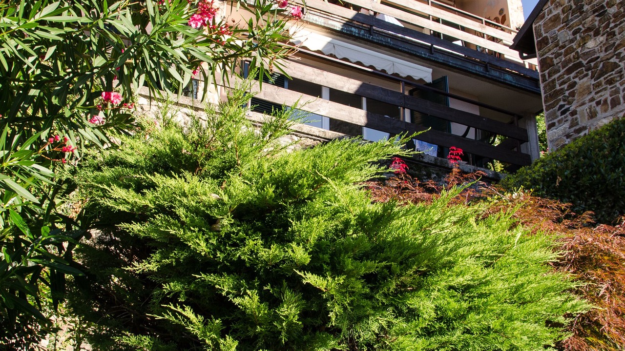 Photo of Outdoor in San Siro