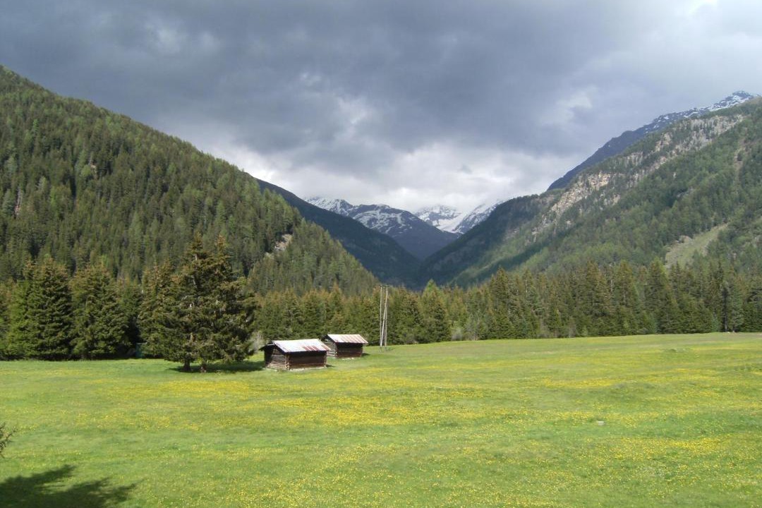 Photo of Others in Santa Caterina Valfurva