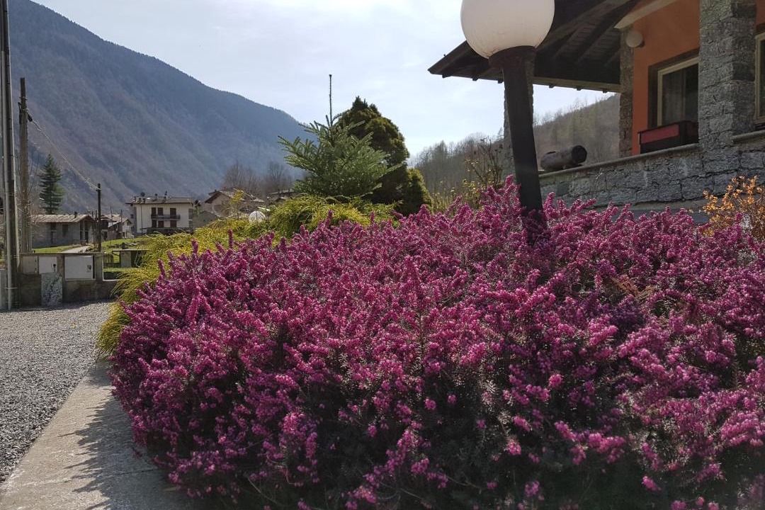 Photo of Outdoor in Val Masino