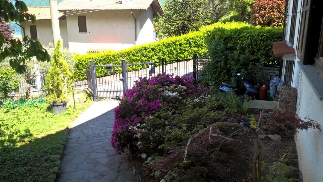 Photo of Others in Limonta
