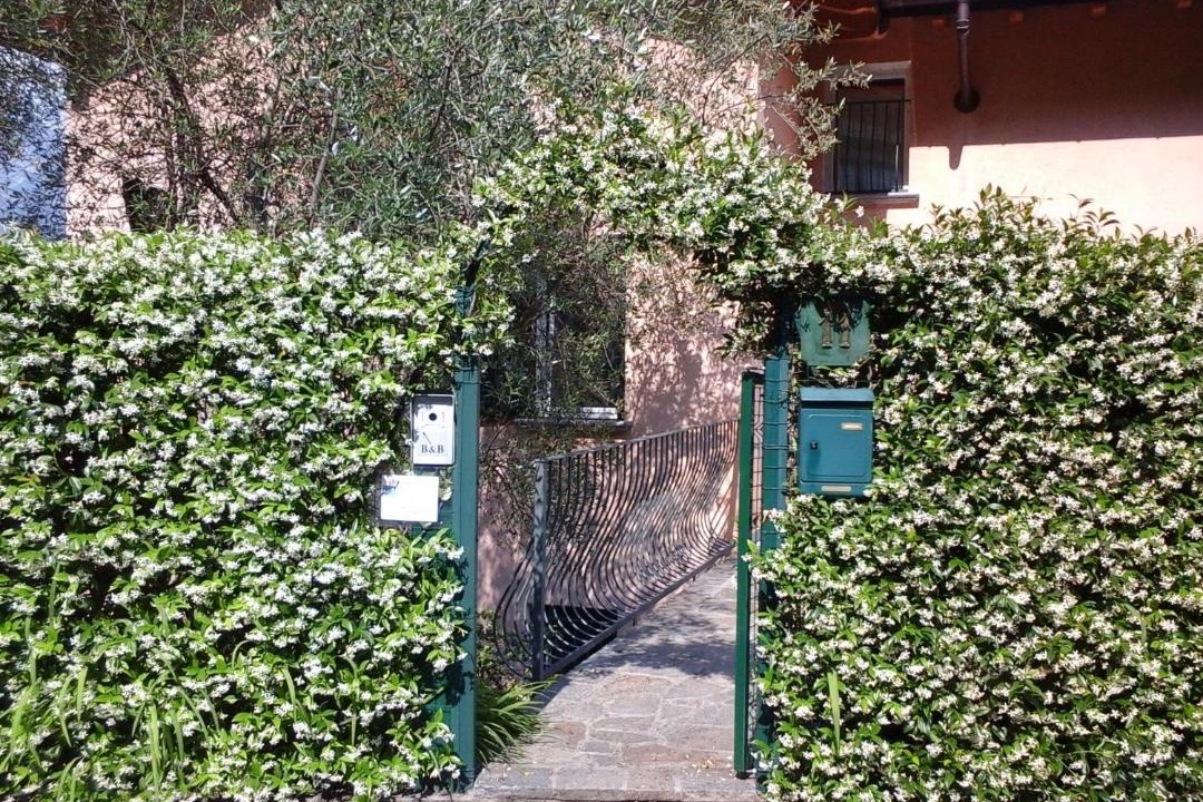 Photo of Others in Oliveto Lario
