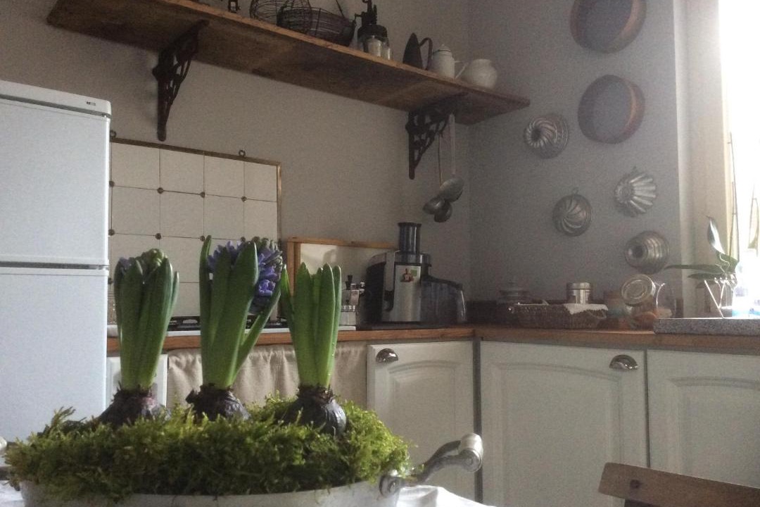 Photo of Kitchen in Corte de'Cortesi Con Cignone