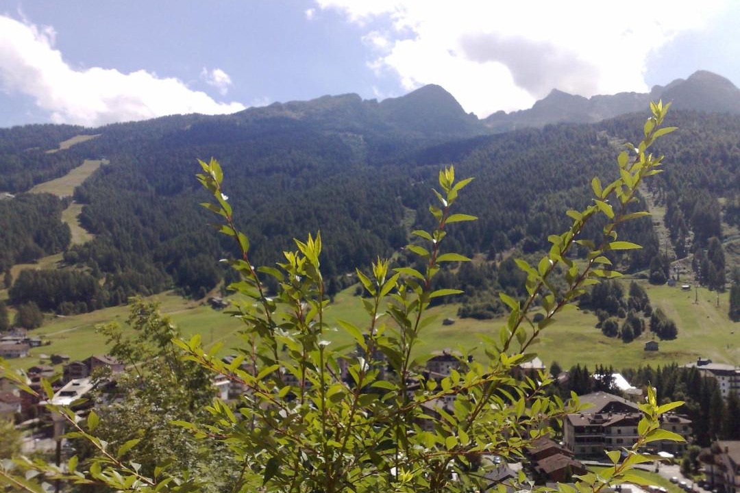 Photo of Others in Aprica